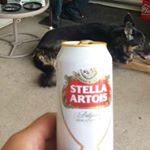 Profile Picture of Gary Pounder (@p0und3rr) on Instagram