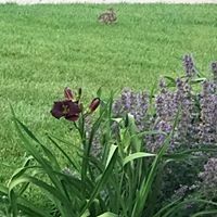 Profile Picture of Ejaz Mahmood (@kcacslimos) on Pinterest