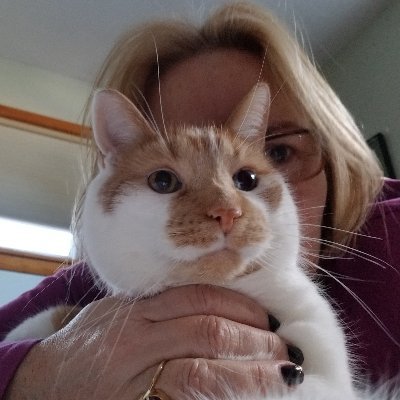 Profile Picture of Laura Fultz (@LacFultz) on Twitter