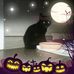 Profile Picture of Christine Tomasello (@christine.tomasello.79) on Facebook