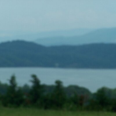 Profile Picture of Shawn Wolfeon Twitter