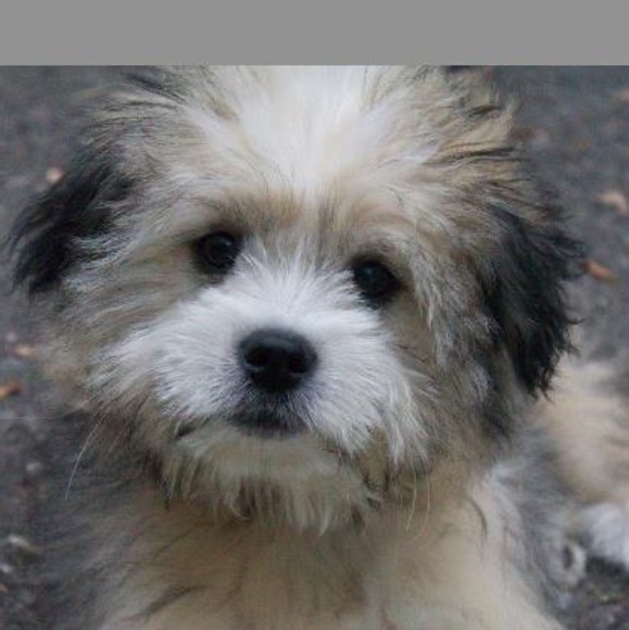 Profile Picture of Clark Johnson (@gr8nauset) on Poshmark