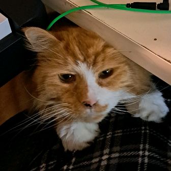 Profile Picture of Jerome Lombardi (@@person12354678) on Tiktok