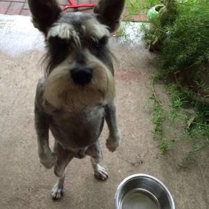 Profile Picture of Robert Chamberlain (@p3anut9191) on Myspace