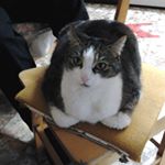 Profile Picture of Phyllis (@phyllisrideout) on Instagram