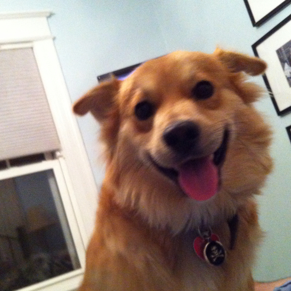 Profile Picture of Amanda Kornfield (@tomandamanda) on Poshmark