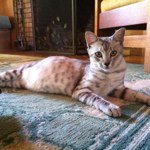 Profile Picture of Phoebe Parker (@phoebeebeohp) on Instagram