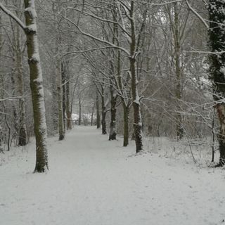 Profile Picture of Joe Hollick (@joe.hollick.16) on Facebook