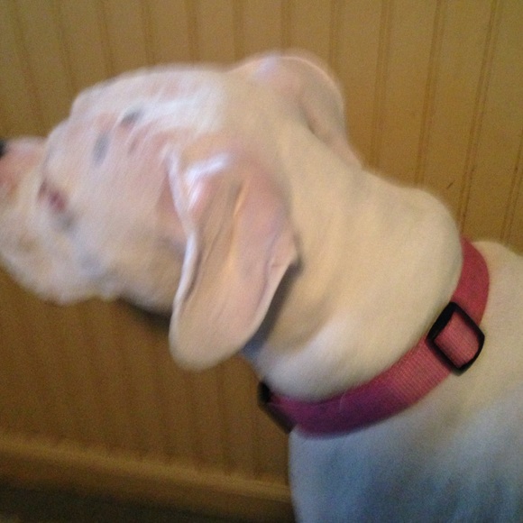 Profile Picture of Debbera Gordon (@debbera01) on Poshmark