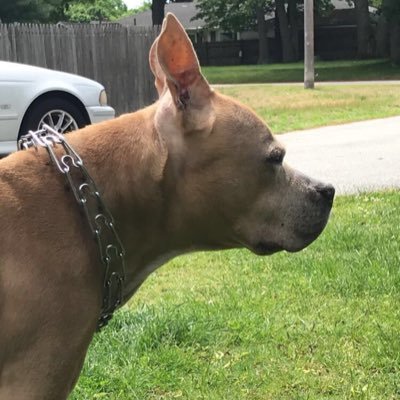 Profile Picture of Cotey Martinez (@CM_eleven) on Twitter