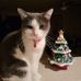 Profile Picture of Lisa Opfer (@lisa.opfer.1) on Facebook