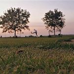 Profile Picture of Thomas Mackinger (@thomaas_mck) on Instagram