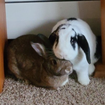 Profile Picture of Matt Medlock (@MattMedlock3) on Twitter