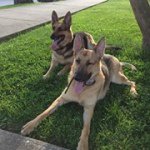 David Brasseur - Instagram Profile Picture of David Brasseur (@dlbrasseur) on Instagram