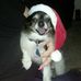 Profile Picture of Jonathan Wortman (@jonathan.wortman.9) on Facebook