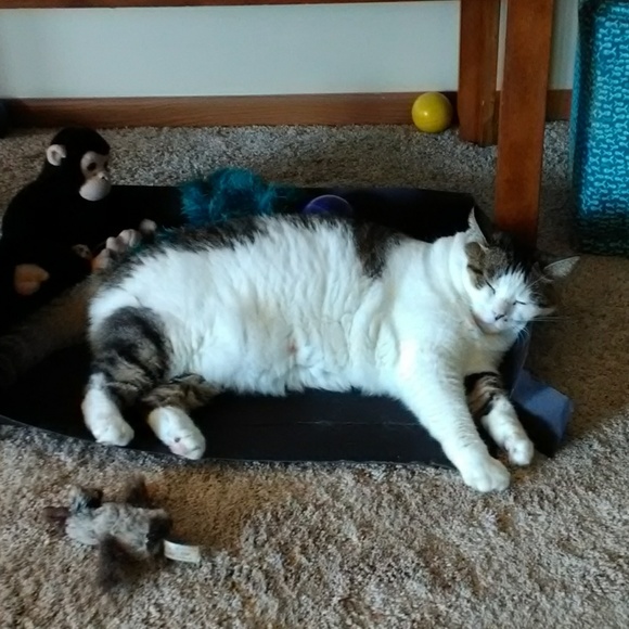 Profile Picture of Kit Jones (@kitjones2556) on Poshmark