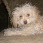 Profile Picture of Nathaly Gonzalez (@Natdelgonzalez) on Youtube