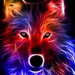 Profile Picture of Kyle Doak (@the_coolagin_xhd) on Instagram