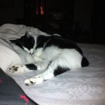Profile Picture of Michael Troy Angelo (@02mallory02) on Instagram