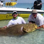 Profile Picture of Capt. Jason Marsh (@anglerschoiceoutfitters) on Instagram