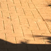 Profile Picture of Michael McGee (@MichaelMcGee-shadow) on Youtube