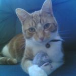 Profile Picture of Garry Scott (@garry.scott.54738) on Instagram