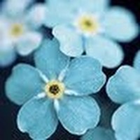 Profile Picture of Jasmine Cofield (@jasmine-cofield) on Quora