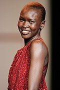 Profile Picture of Alek Wek - Wikipediaon Wikipedia