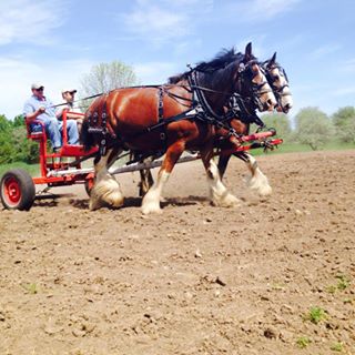 Profile Picture of Hunter Mackey (@hunter.mackey.92) on Facebook