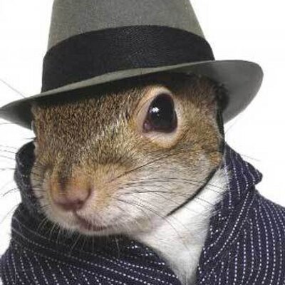 Profile Picture of Tim Rolfe (@ZerofonOriginal) on Twitter