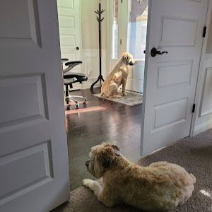 Profile Picture of leonardrenfro437 (@leonardrenfro437) on Tiktok