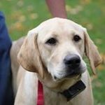 Profile Picture of John Kampf (@john.kampf.12) on Instagram