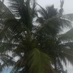 Profile Picture of pepe james (@james_pepe) on Instagram