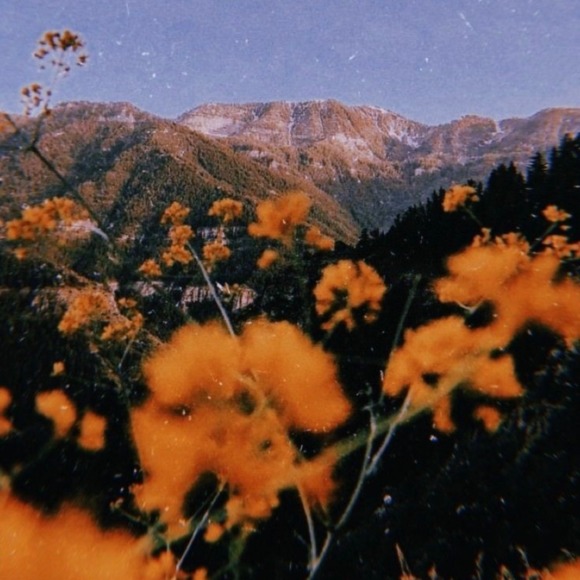 Profile Picture of Carmina Carriger (@carminacarriger) on Poshmark