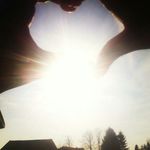 Profile Picture of hanna behling (@hannabehling) on Instagram