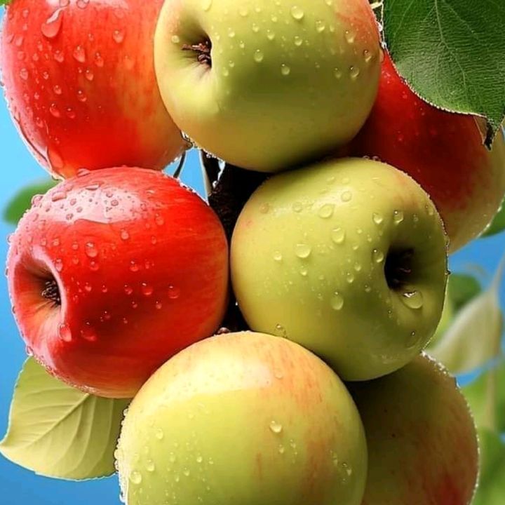 user1818438693923 - Tiktok Profile Picture of user1818438693923 (@michaelvenas1) on Tiktok