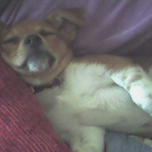 Profile Picture of Jesse Grounds (@243336668) on Myspace