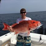 Profile Picture of Andrew Anglin (@anglinandrew) on Instagram