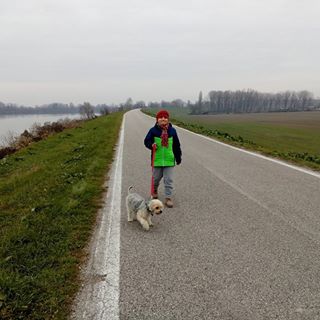 Profile Picture of Dino Ferri (@dino.ferri.188) on Facebook