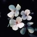 Profile Picture of Mary Joyce (@marejoyce12) on Pinterest