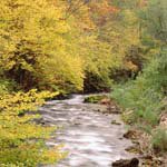 Profile Picture of Ross_Batchelor (@ross_batchelorb) on Instagram