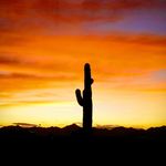 Profile Picture of Richard (Grindy) Grindstaff (@grindy111) on Instagram