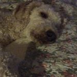 Profile Picture of Matthew Godlewski (@matthewg_1020) on Instagram