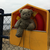 Adam Fogarty - Youtube Profile Picture of Adam Fogarty (@adamfoggg) on Youtube