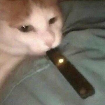 Profile Picture of Josiah Dufault (@josiahdufault) on Tiktok