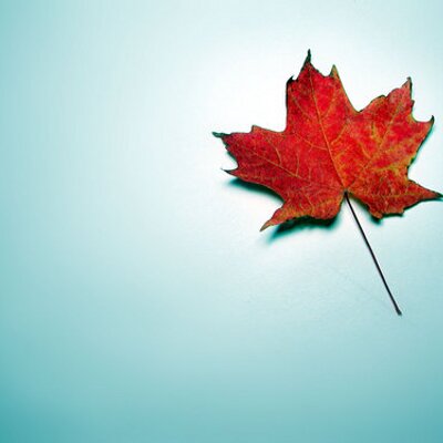Profile Picture of NALIN (@nalin94gupta) on Twitter