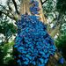 Profile Picture of Linda Watson Curtis (@gigicurti) on Pinterest