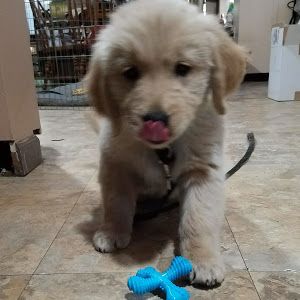 Profile Picture of Tammy McCrary (@tammymccrary1937) on Tiktok