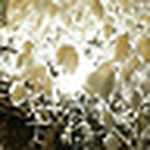 Profile Picture of James Crane (@jamescrane200) on Flickr