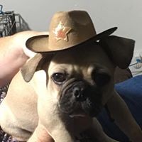 Profile Picture of Kim Getman (@kim-getman) on Quora